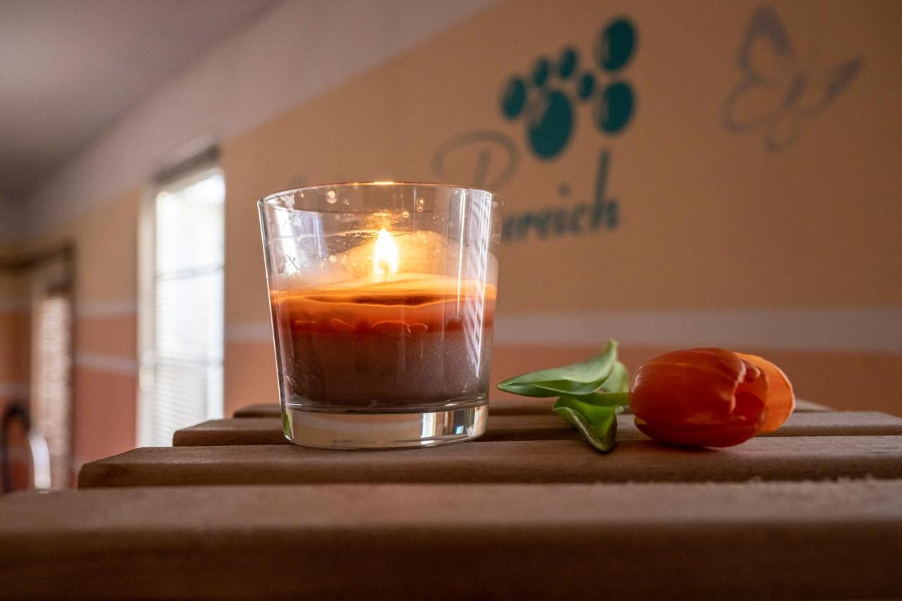 Sporthotel Glueck Auf Moenchenfrei Brand-Erbisdorf Екстер'єр фото